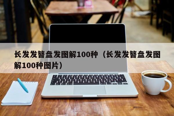 长发发簪盘发图解100种（长发发簪盘发图解100种图片）