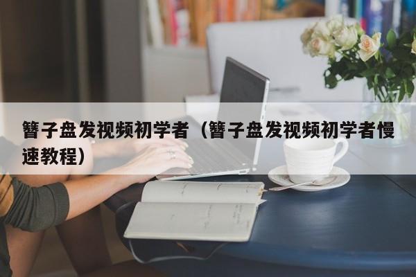 簪子盘发视频初学者（簪子盘发视频初学者慢速教程）