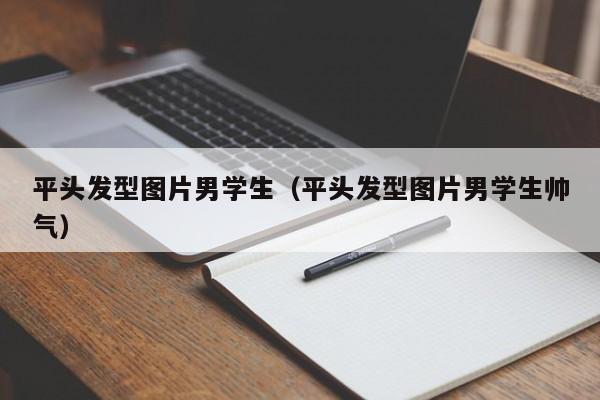 平头发型图片男学生（平头发型图片男学生帅气）