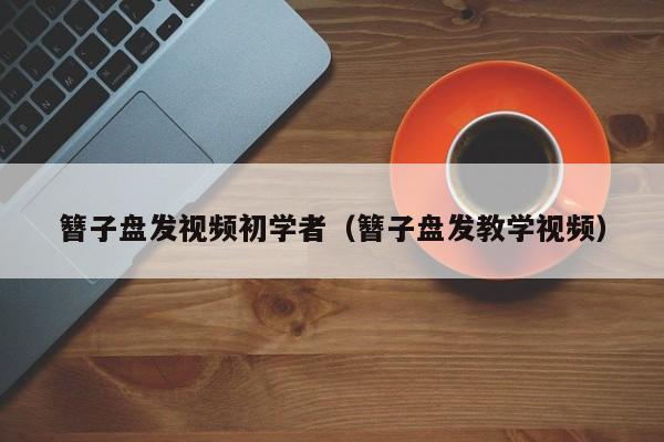 簪子盘发视频初学者（簪子盘发教学视频）