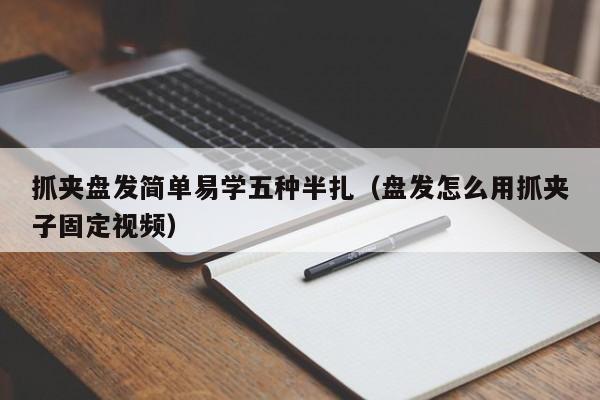 抓夹盘发简单易学五种半扎（盘发怎么用抓夹子固定视频）